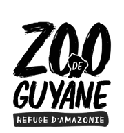 logo-zoo-guyane-black